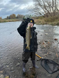 Rochester Report Photo 1