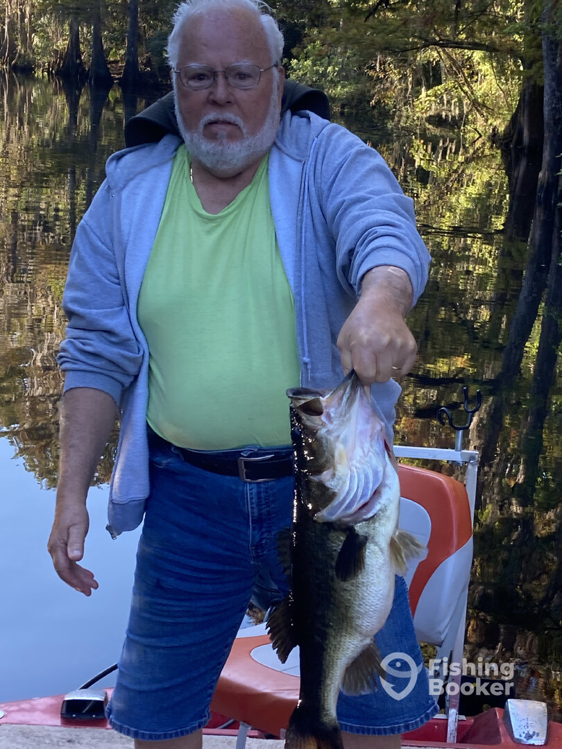 Kissimmee Report Photo 0