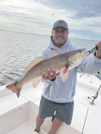 Sarasota Report Photo 2