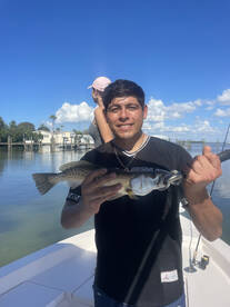 Sarasota Report Photo 1