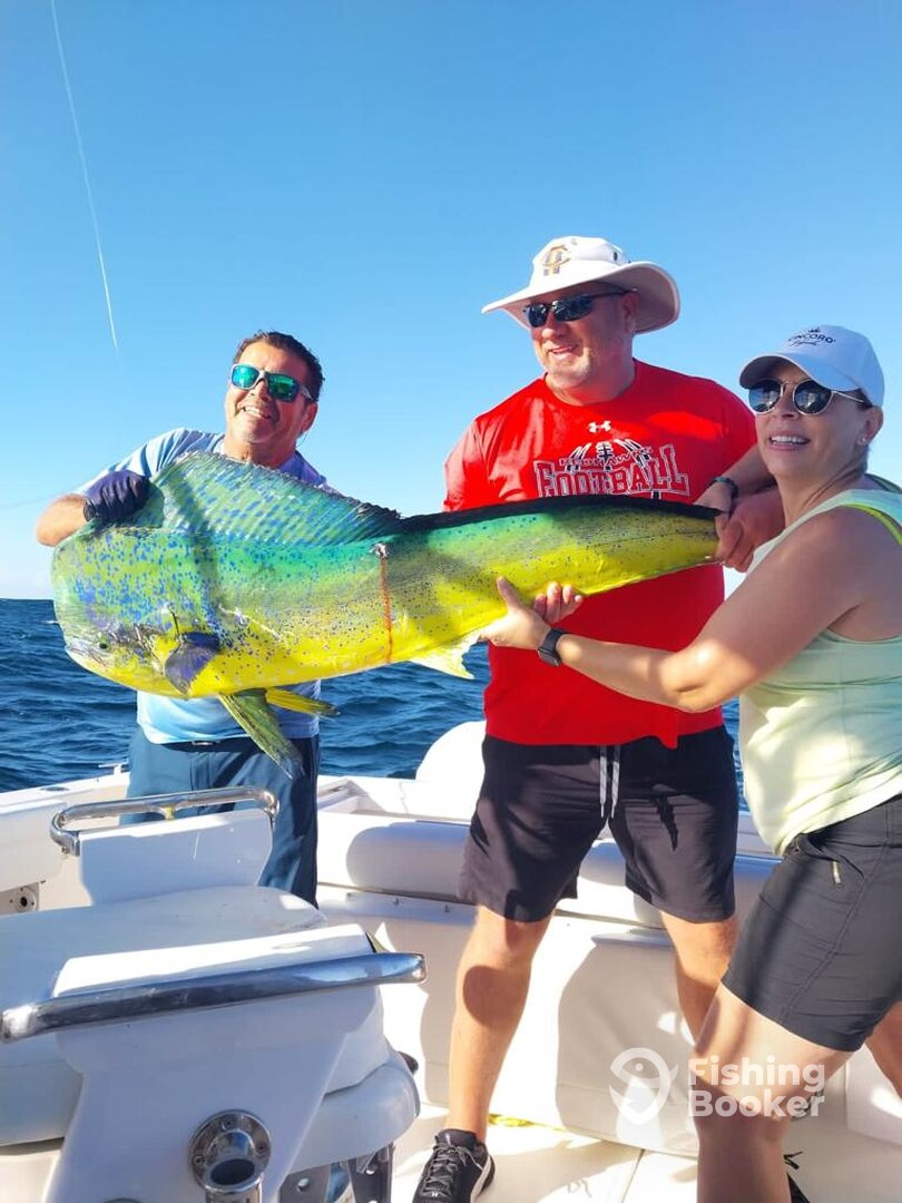 Cabo San Lucas Report Photo 0