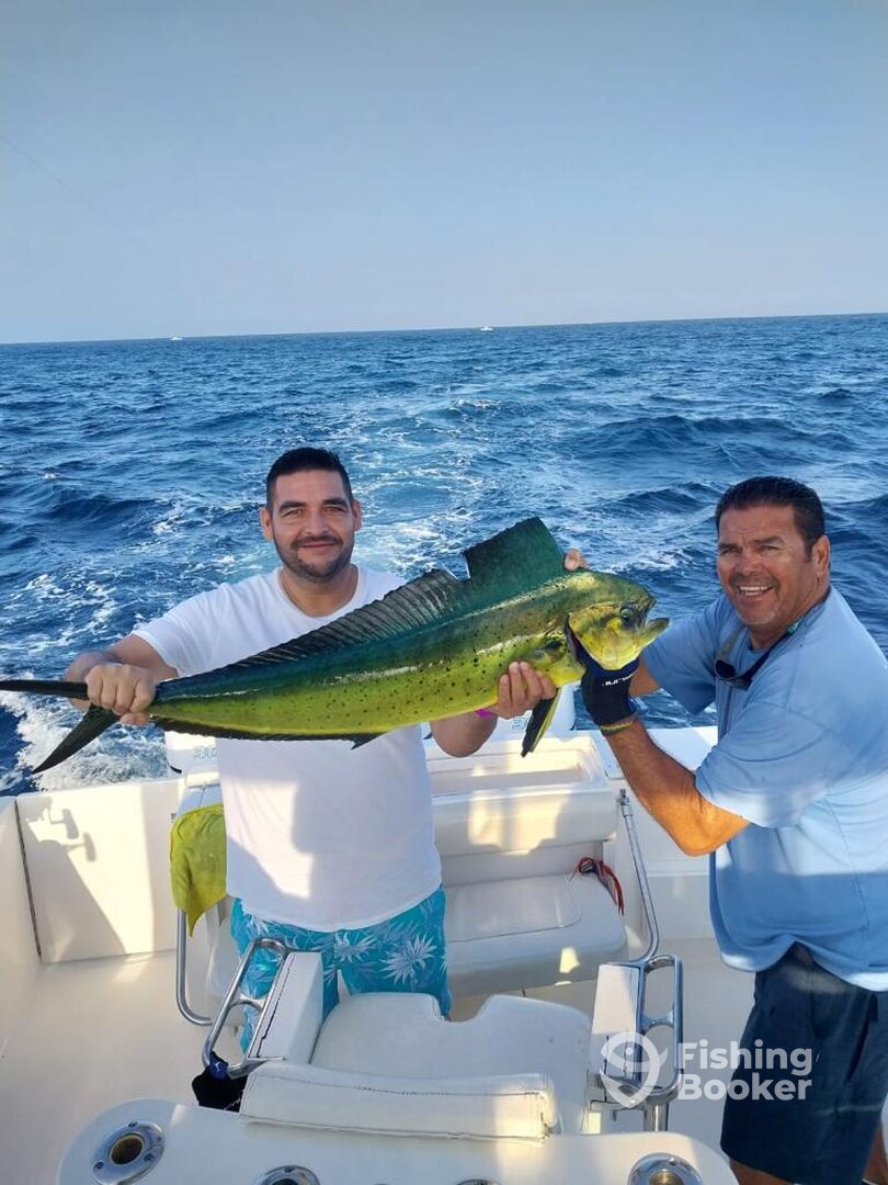 Cabo San Lucas Report Photo 0