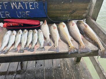 Rio Hondo Report Photo 2