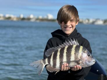 Sarasota Report Photo 1