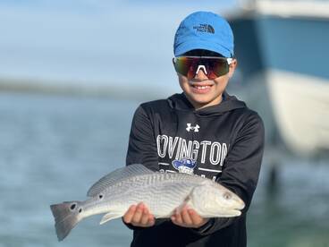 Sarasota Report Photo 1
