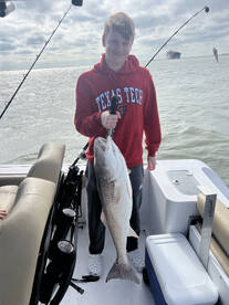 Galveston Report Photo 2