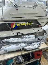 Pompano Beach Report Photo 1