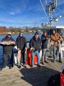 Cold bassing