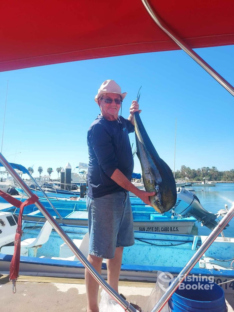 San Jose del Cabo Report Photo 0