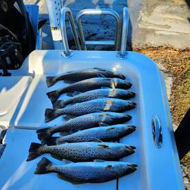 Cold weather hot trout bite!!!