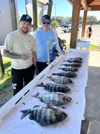 Jacksonville Report Photo 1