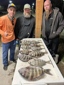Jacksonville Report Photo 2
