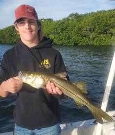 Sarasota Report Photo 1