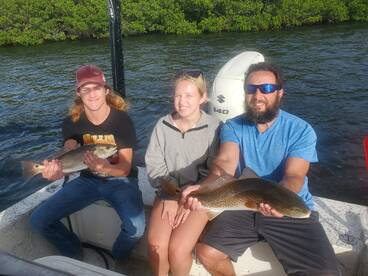 Sarasota Report Photo 2