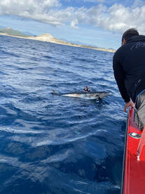 San Jose del Cabo Report Photo 2