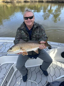 Savannah Report Photo 2