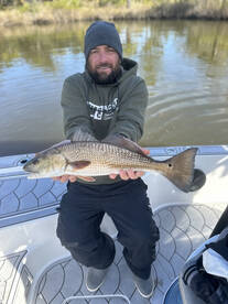 Savannah Report Photo 1