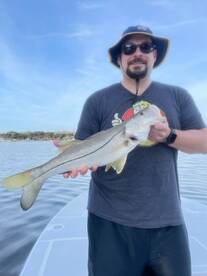 South florida Decembers 