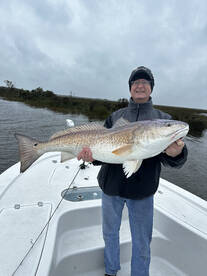 St. Bernard Report Photo 1