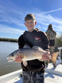 Venice Report Photo 1