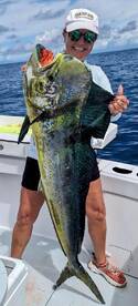 All the mahi
