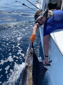 Marlin showing up