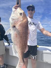 Gulf Harbour Report Photo 2