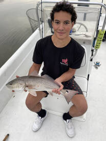 Orlando Report Photo 1