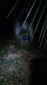 Grant-Valkaria Report Photo 1