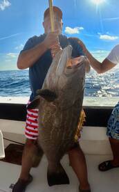 Short time , BIG GROUPER