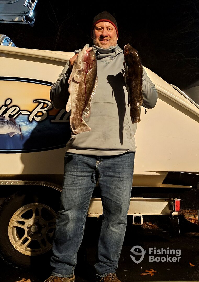 Stone Harbor Report Photo 0