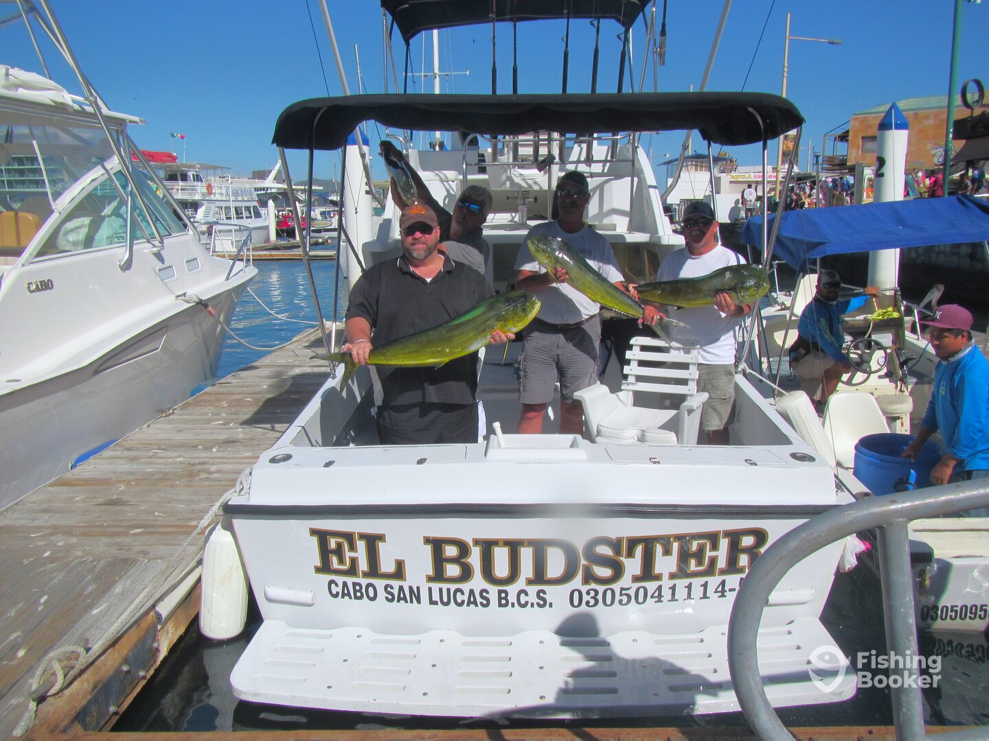 Cabo San Lucas Report Photo 0
