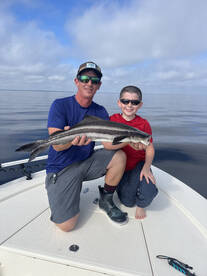 Cobia on the rays!!