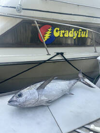 Pompano Beach Report Photo 2