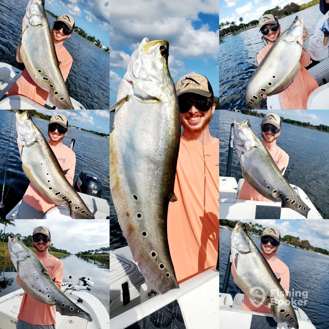 Delray Beach Report Photo 0