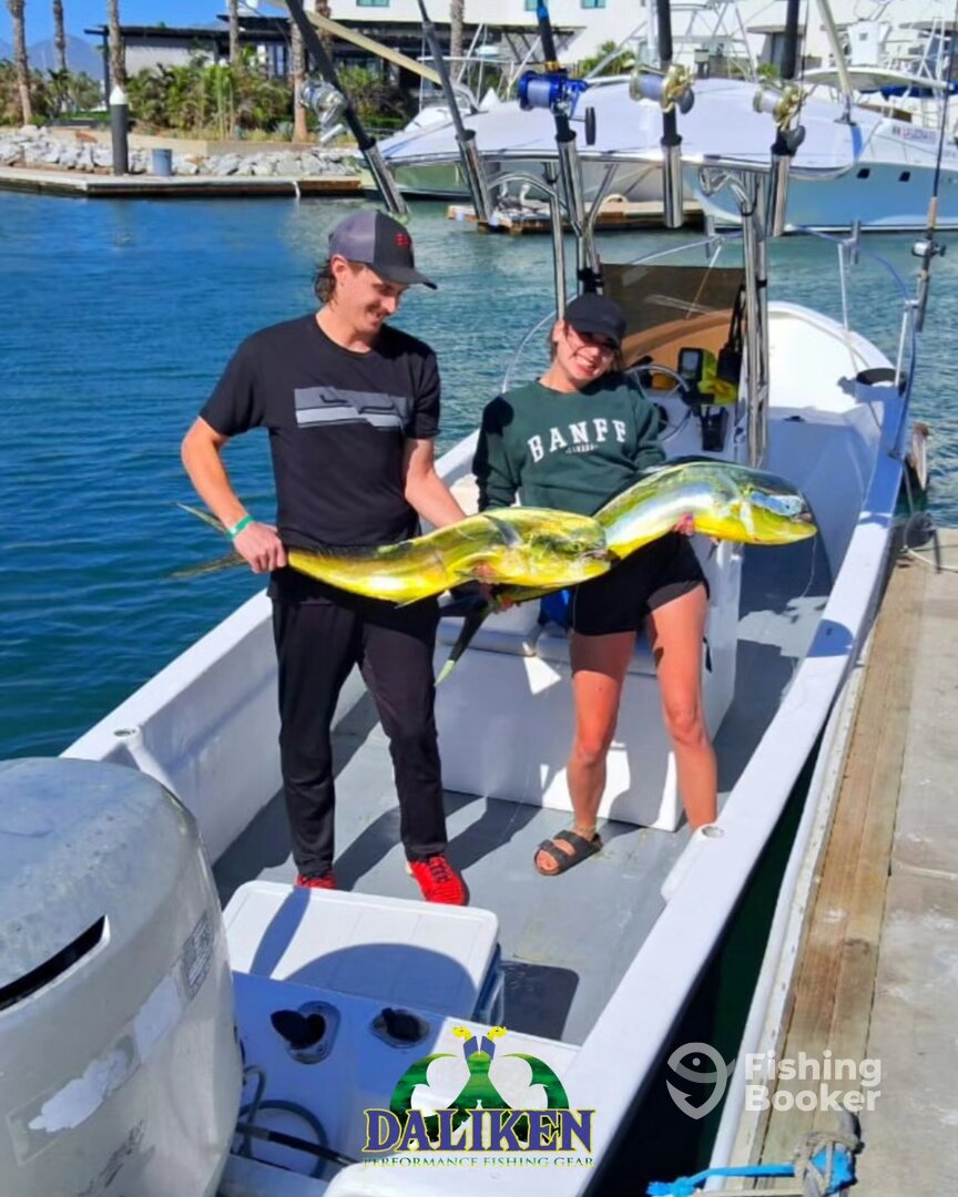 San Jose del Cabo Report Photo 0