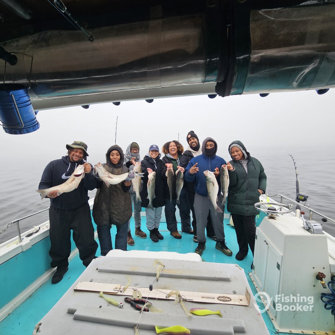 Solomons Report Photo 0