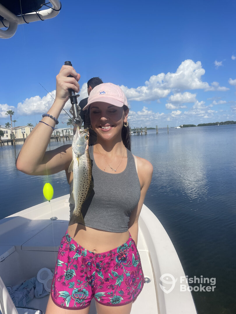 Sarasota Report Photo 0