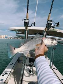 Clearwater Report Photo 2