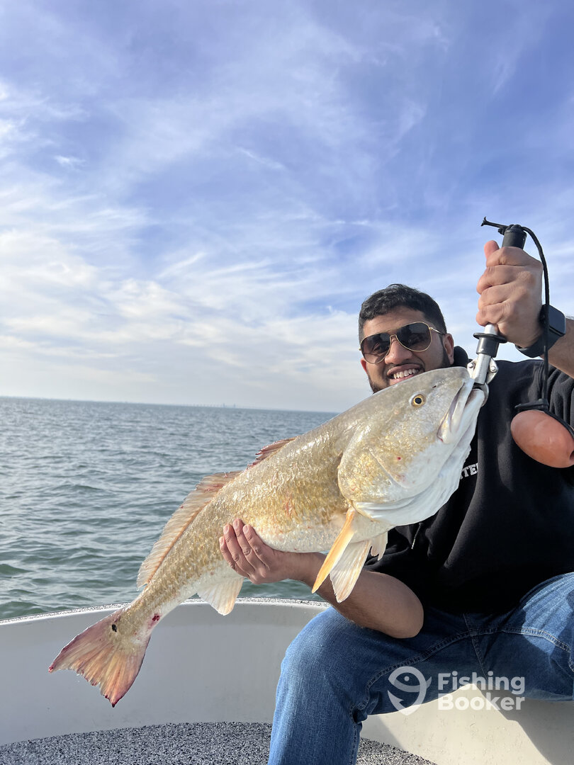 Galveston Report Photo 0