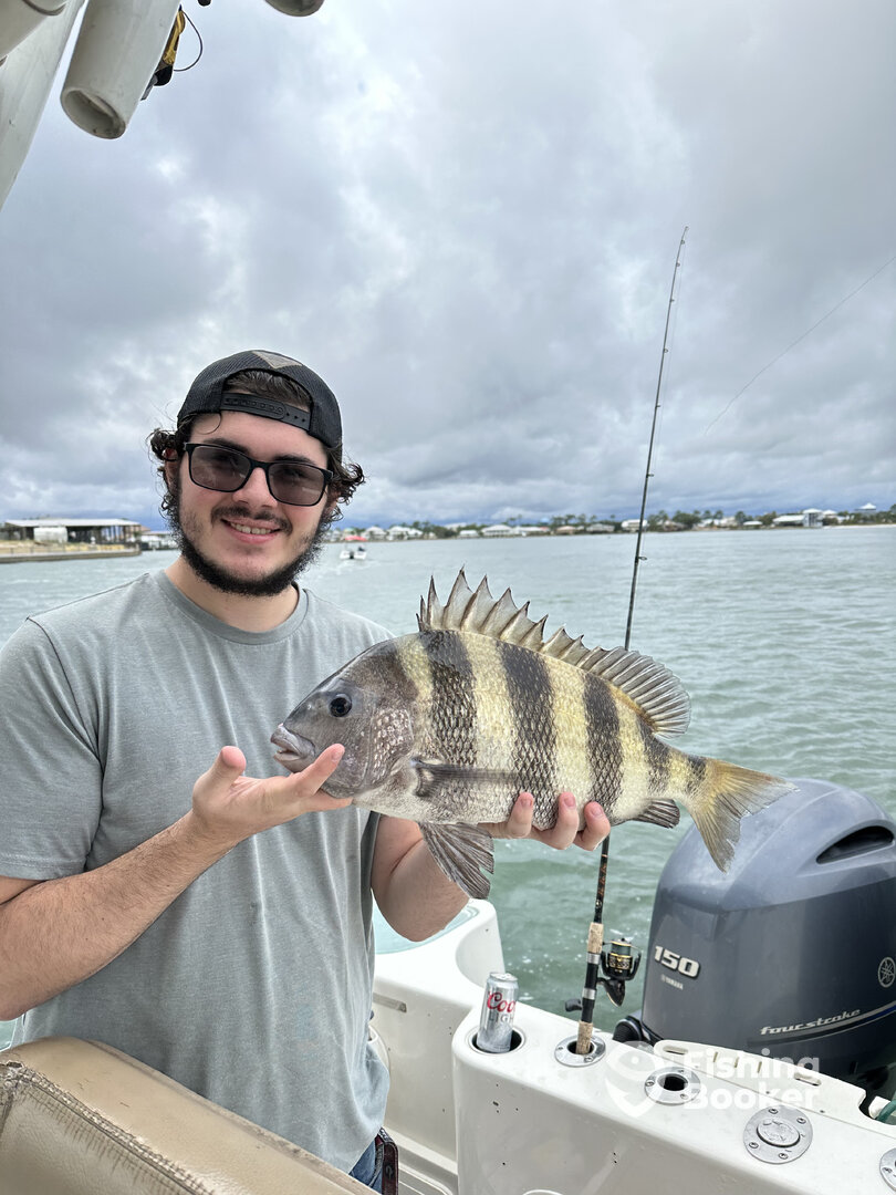 Orange Beach Report Photo 0