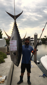 Epic Tuna fishing of Miami