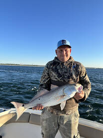 Redfish Redfish Redfish