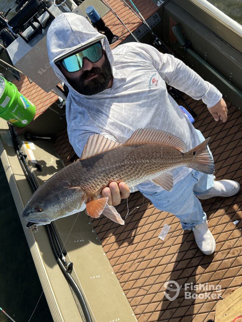 Tampa Report Photo 0