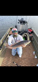 Tampa Report Photo 2