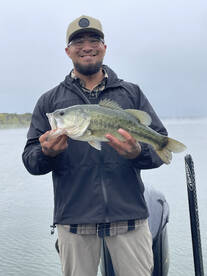 Dallas Report Photo 1