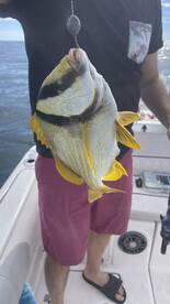 Fort Myers Beach Report Photo 2
