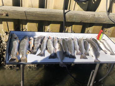 Murrells Inlet Report Photo 2