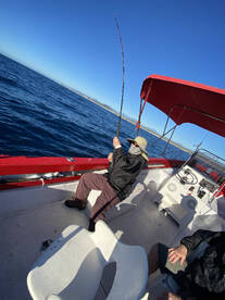 San Jose del Cabo Report Photo 1