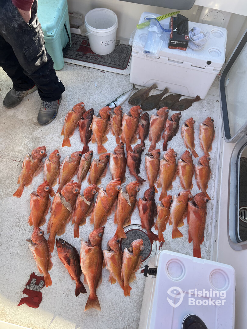 San Diego Report Photo 0